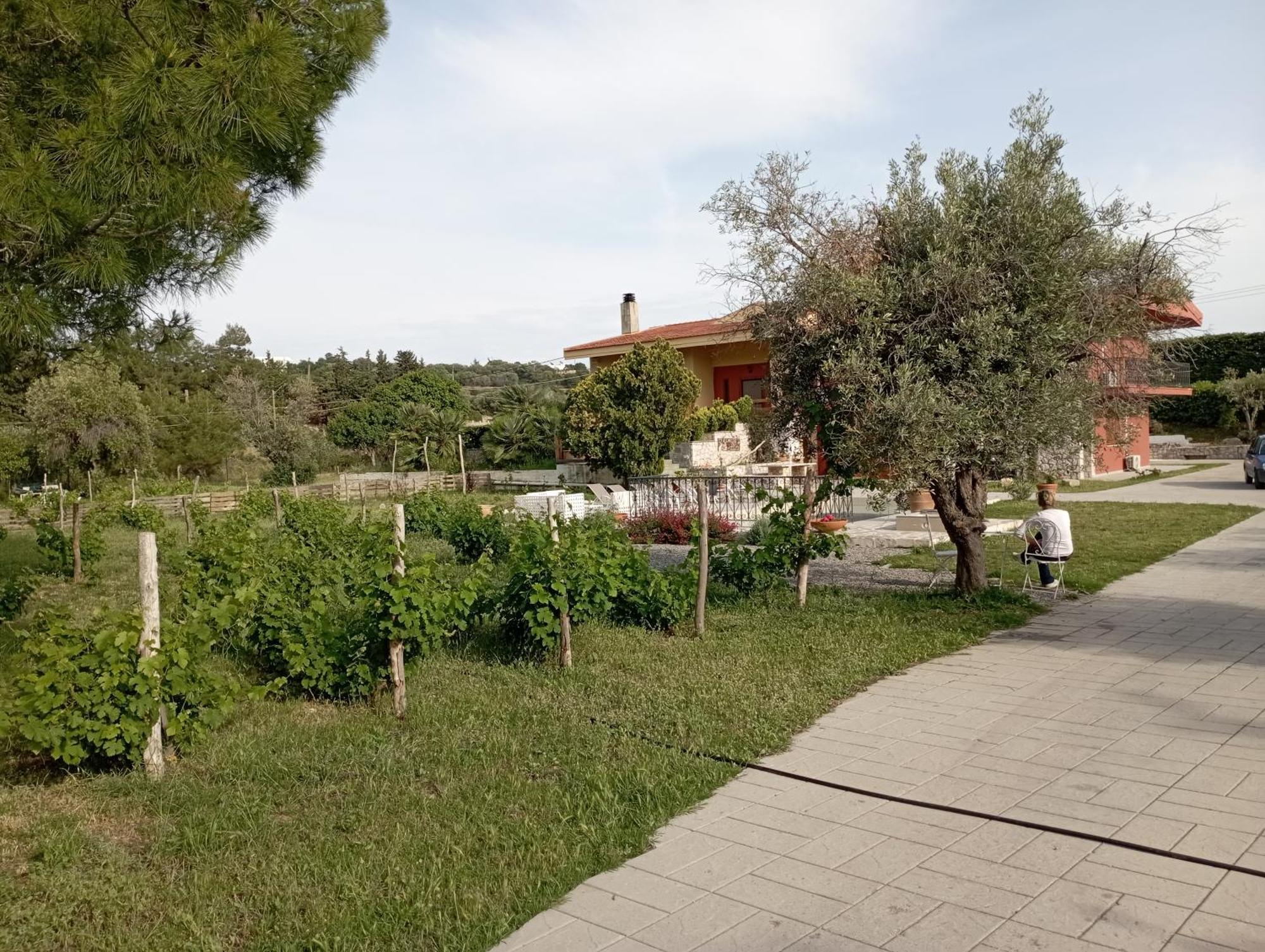 Emarmene Home With Private Pool Near Rhodes Town & Airport Koskinou  Extérieur photo